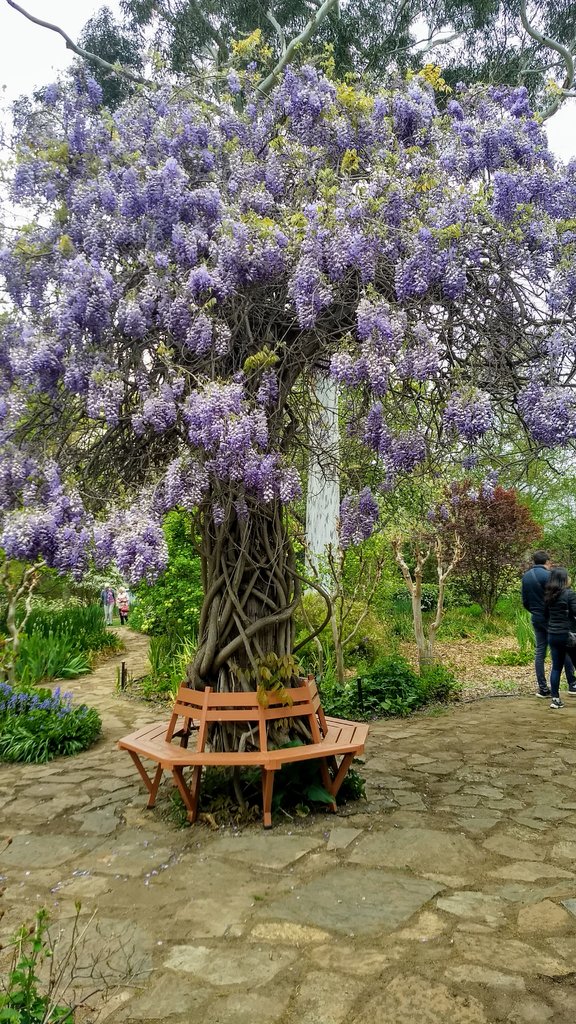 IMG_20191012_125548406_HDR.jpg