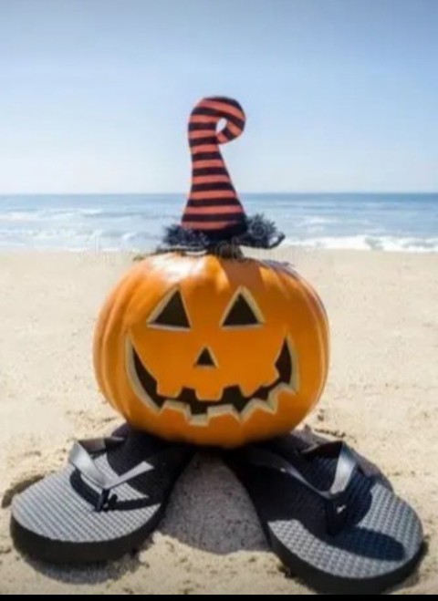 pumpkin sitting on tongues at beach