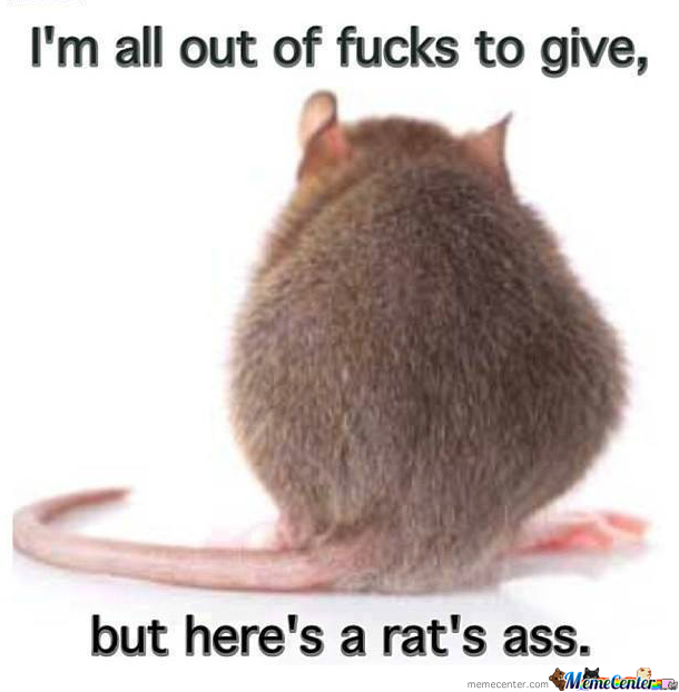 j-k-i-don-amp-039-t-give-a-rat-amp-039-s-ass-either_o_1908527.jpg