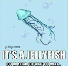 jellyfish.jpg