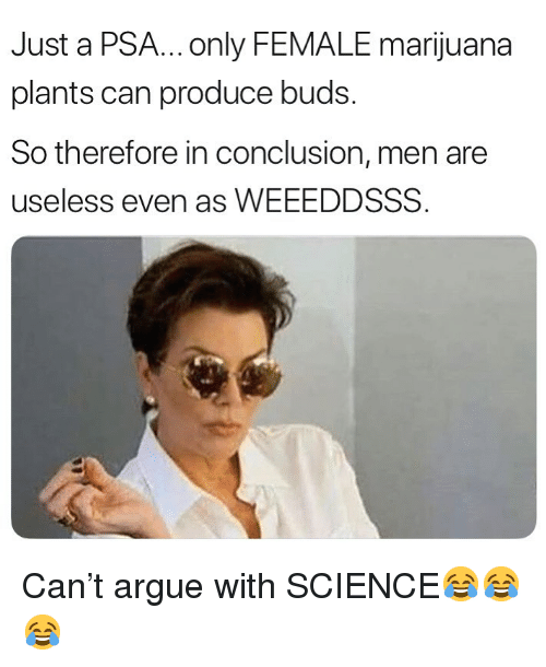 just-a-psa-only-female-marijuana-plants-can-produce-buds-so-36528880.png