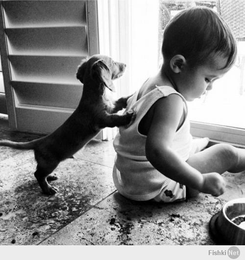 kid  and dog.jpg