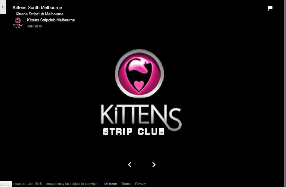Kittens1.PNG