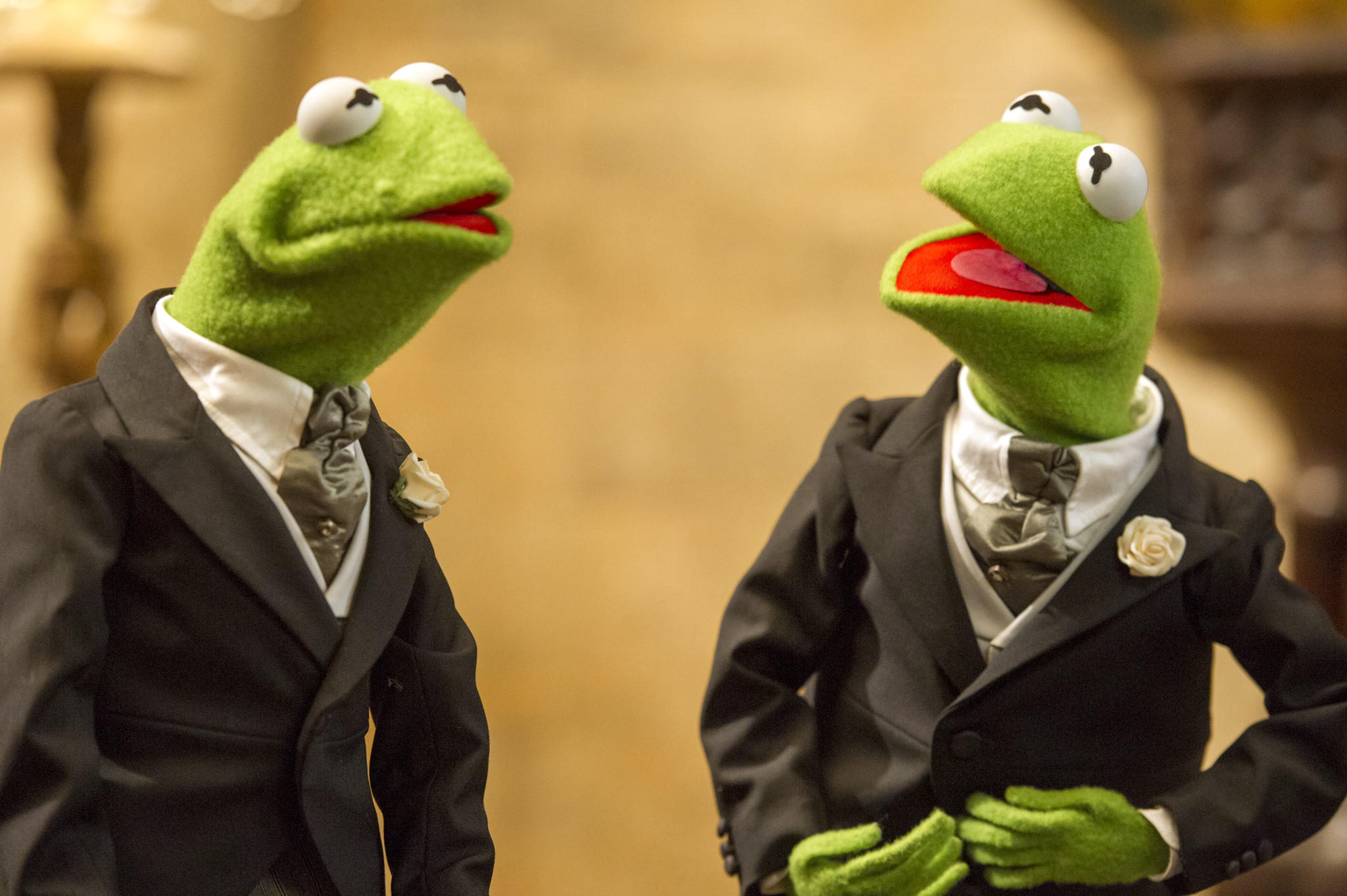 la-ar-kermit-muppets-most-wanted-brooks-brothe-001.jpg