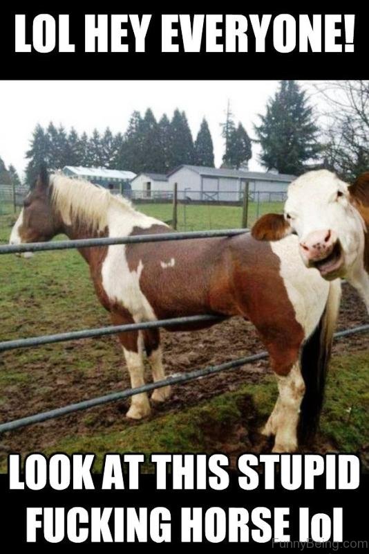 Lol-Hey-Everyone.jpg