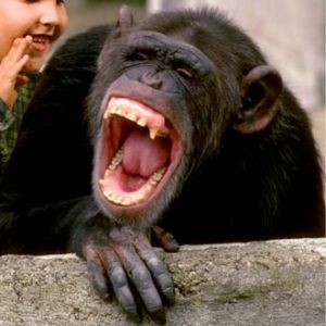 love a good belly laugh love laughing until i nearly fall down love ___.jpg