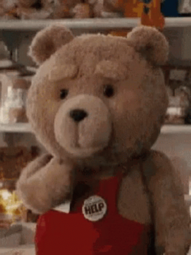 méďa-ted.gif