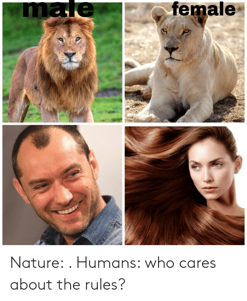 male-female-nature-humans-who-cares-about-the-rules-62316825.png