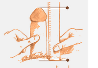 MeasurePenis.png