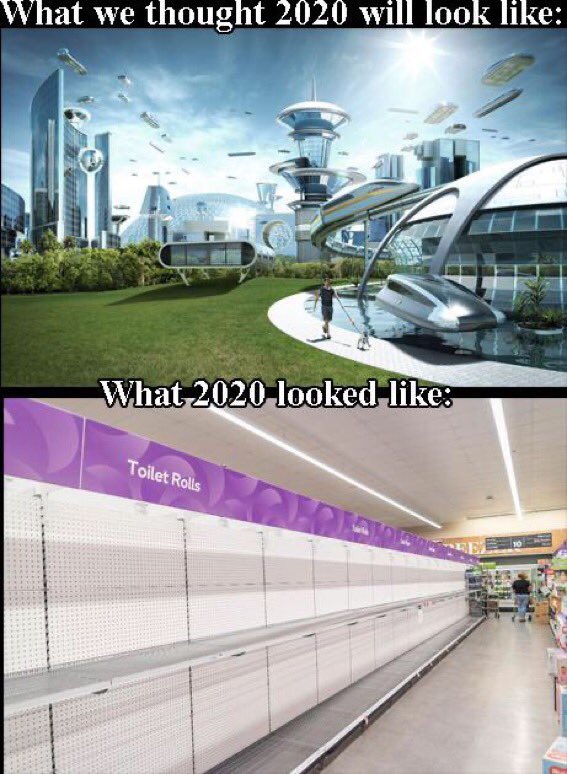 meme.jpg