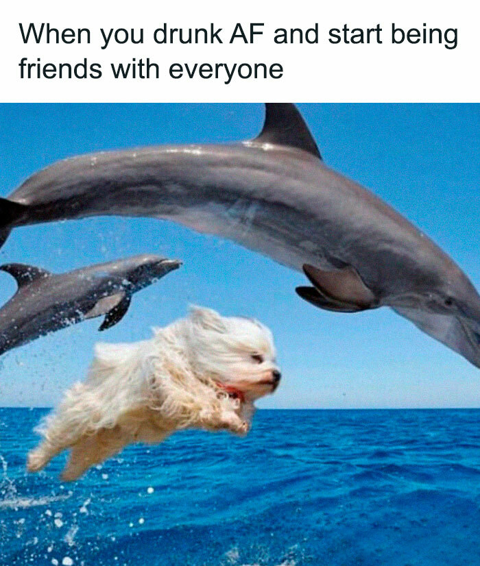 memes-3.jpg