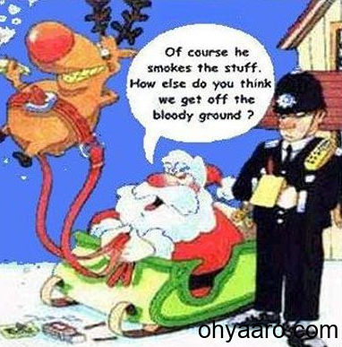 merry-christmas.png
