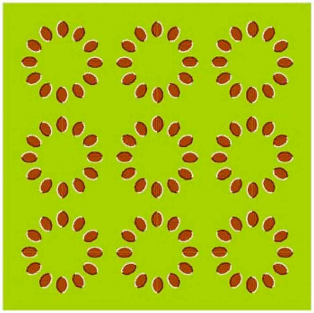 motion-illusion-test[1].jpg