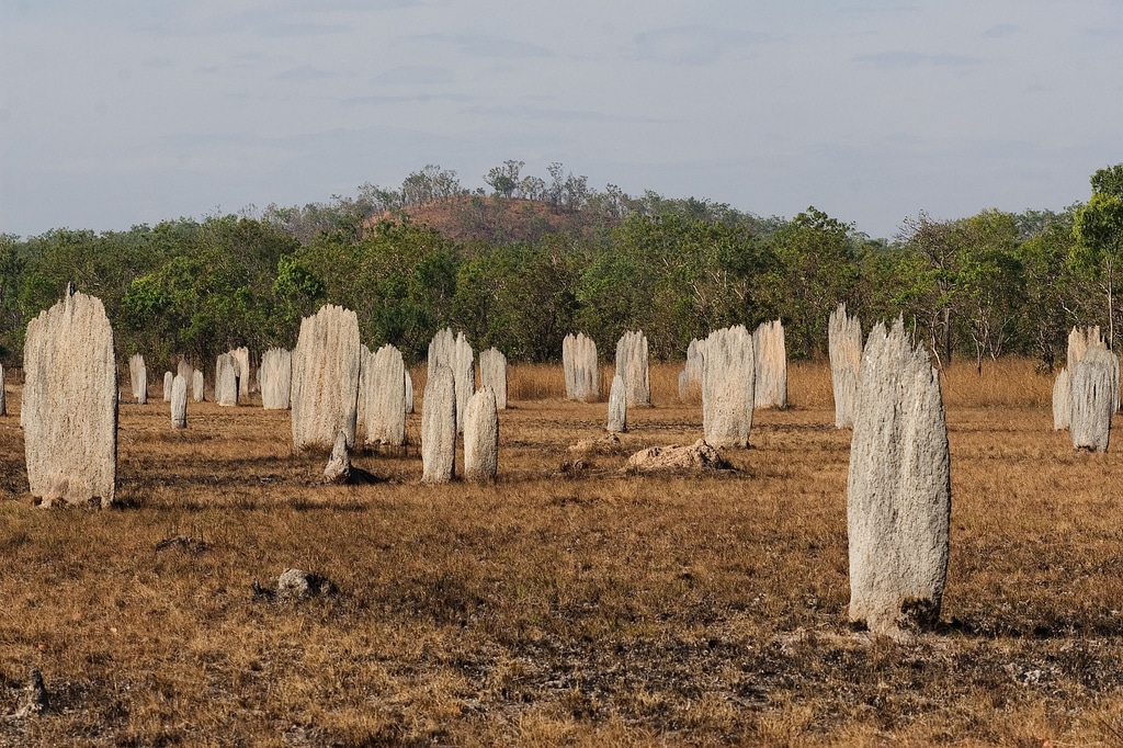 mounds1.jpg