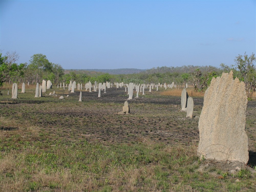mounds3.jpg
