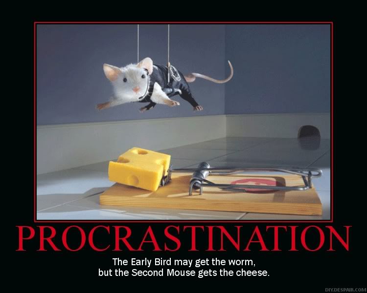 mouse.jpg