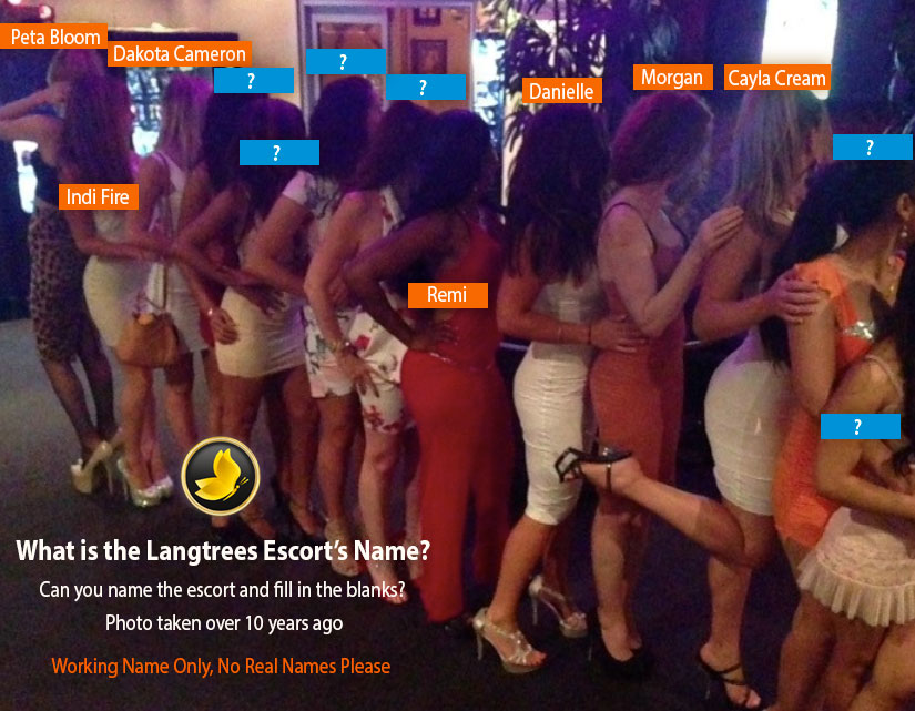 name_the_escort.jpg