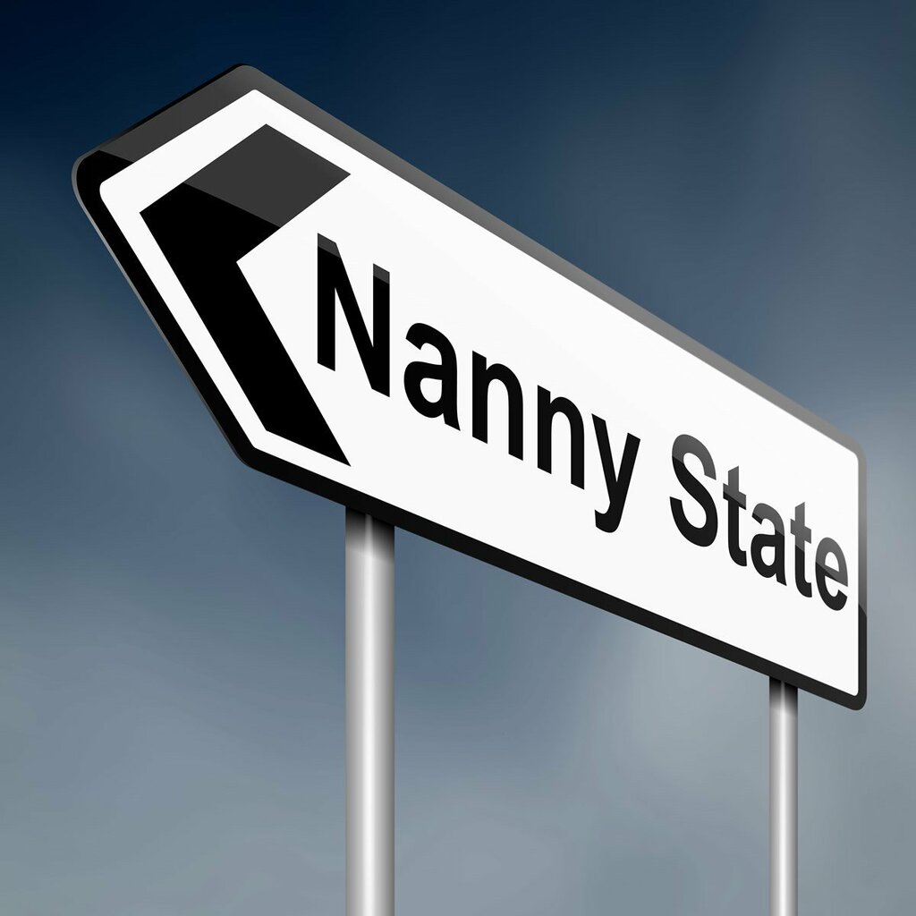 nannystate_mini.jpg