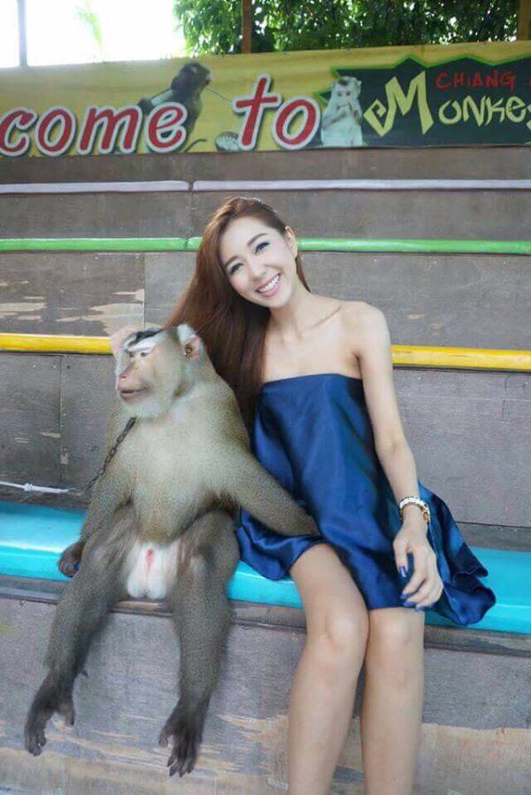 naughty monkey.jpg