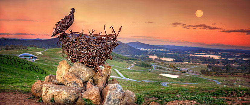 nest.jpg