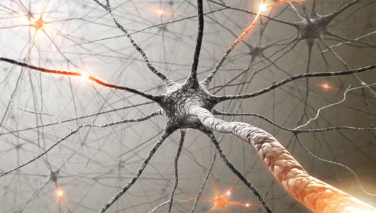 neurons.jpg