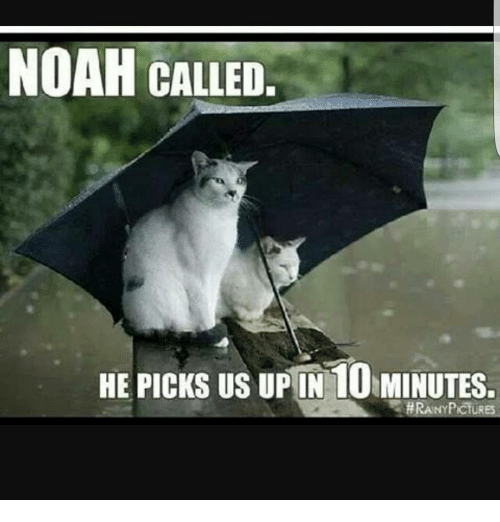 noah-called-he-picks-us-upin-10-minutes-hran-pictures-12125892.png