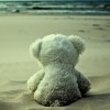 obj-teddy.jpg