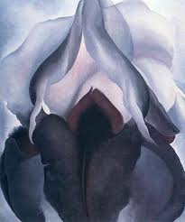orchid3.jpg