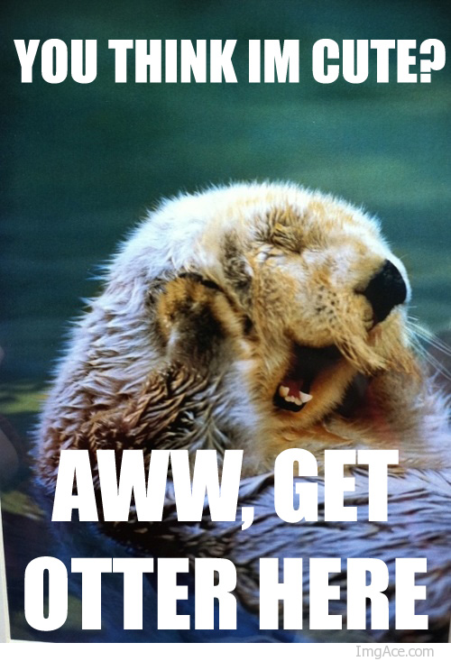 otter.png