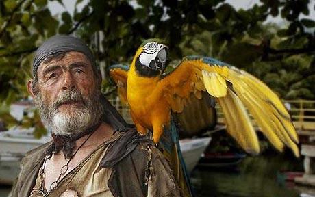 parrot_1593096c.jpg
