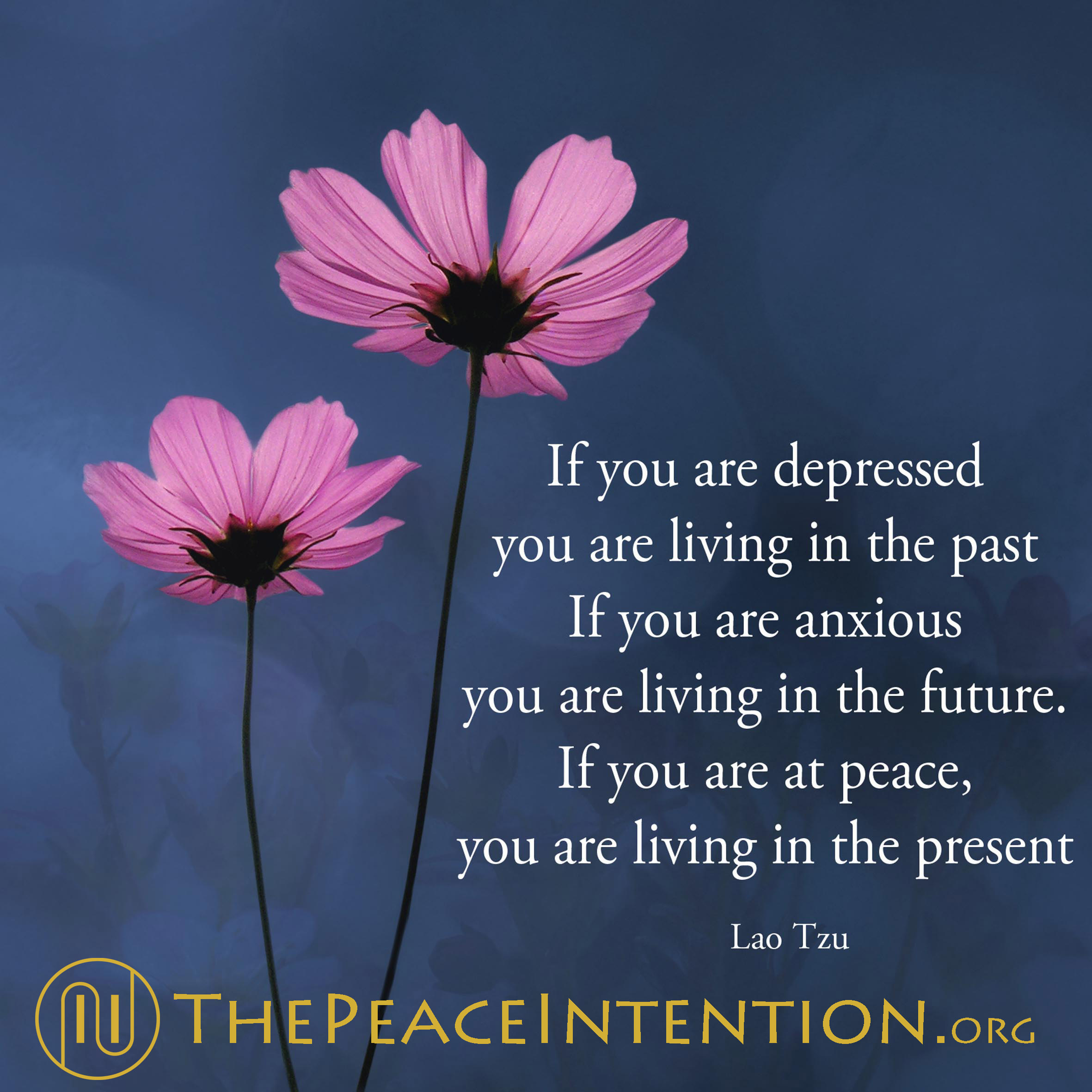 PeaceQuote.jpg