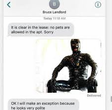 pets bdsm.jpg