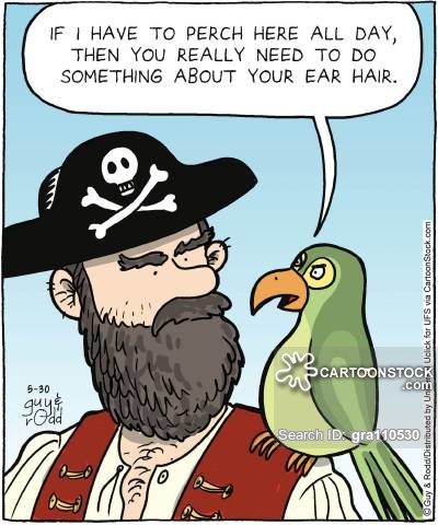pirate-ear.jpg