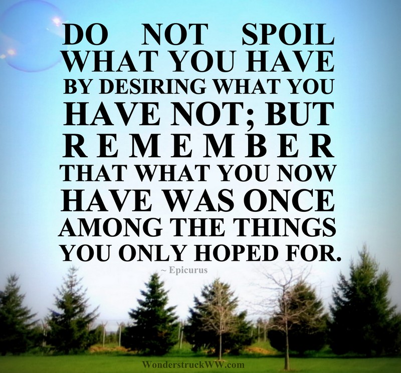 quote1.jpg