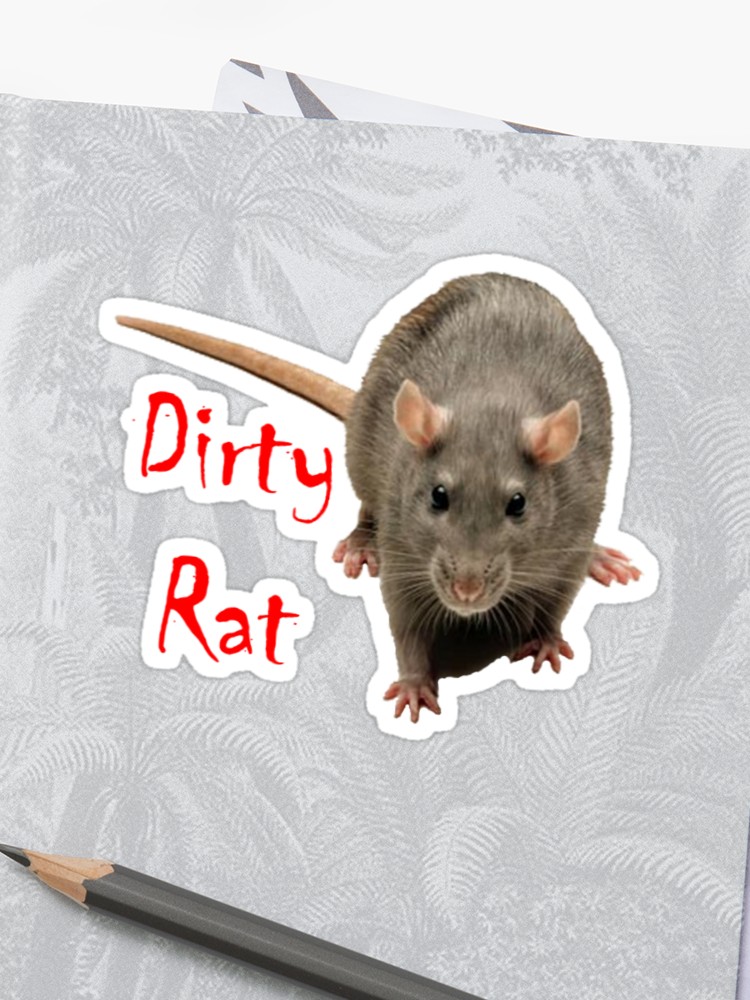 rat.jpg