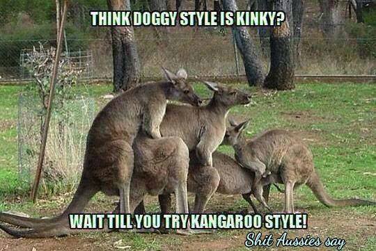 roos.jpg