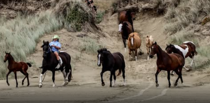 Screenshot 2025-10-26 032808.png Screenshot 2025-10-26 032808.png