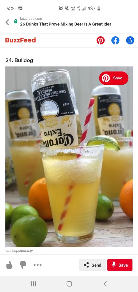 Screenshot_20200318-170418_Pinterest.jpg