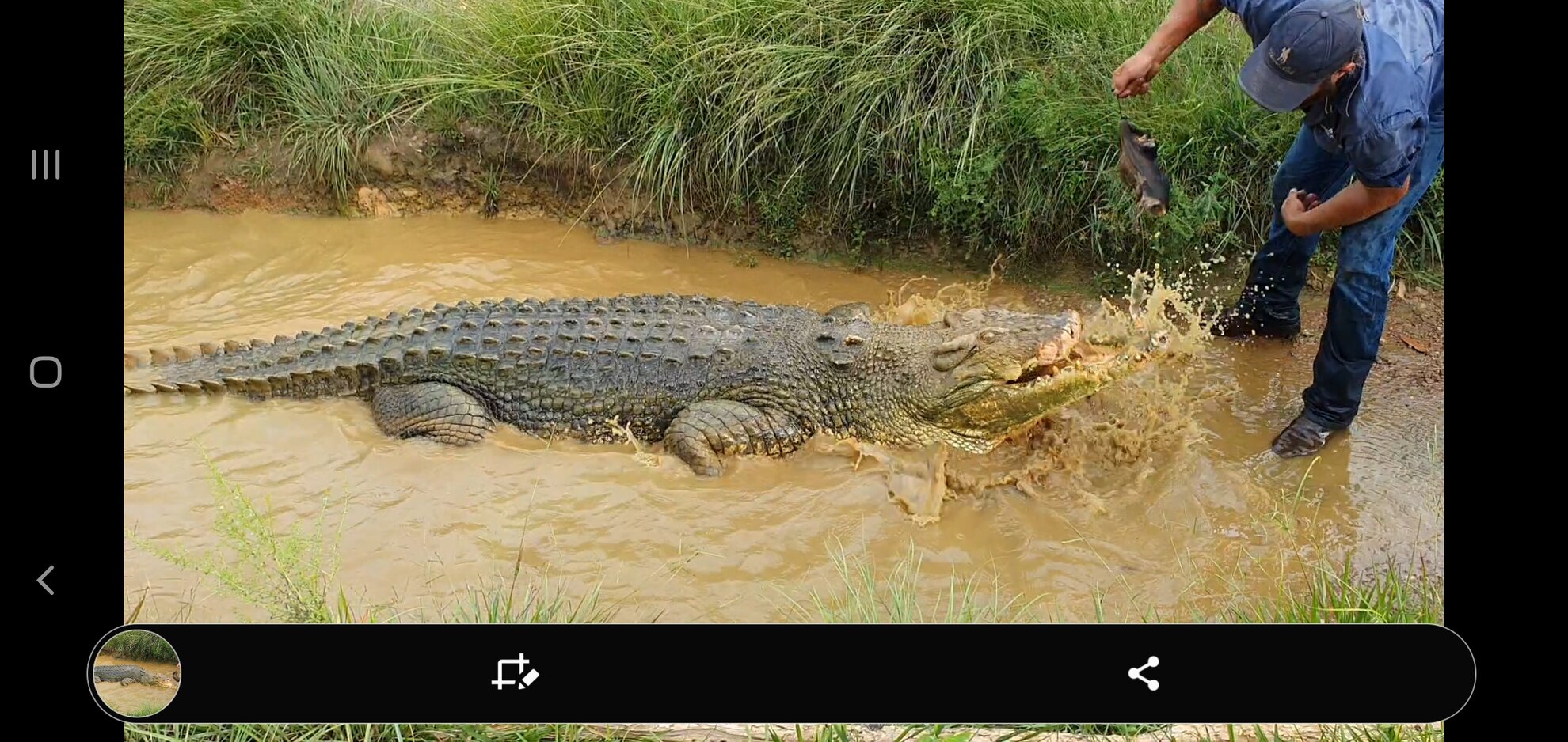 Screenshot_20200930-080935_Video Player.jpg