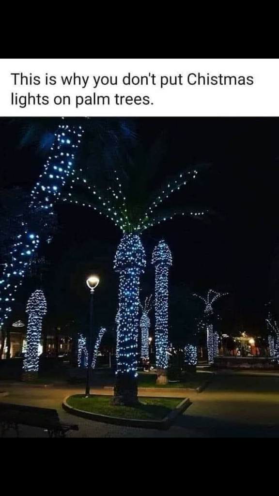 Screenshot_2022-12-13-19-47-18-20.png