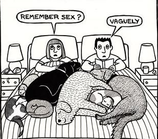 sex joke 3.JPG