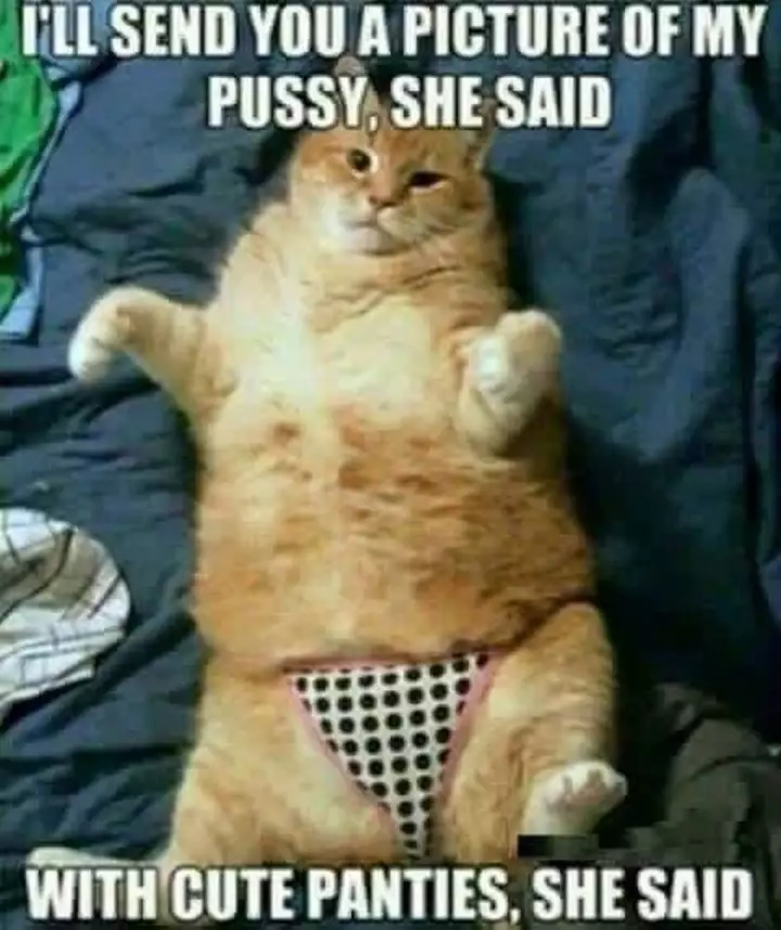 sexy-adult-memes-01-720x857.png