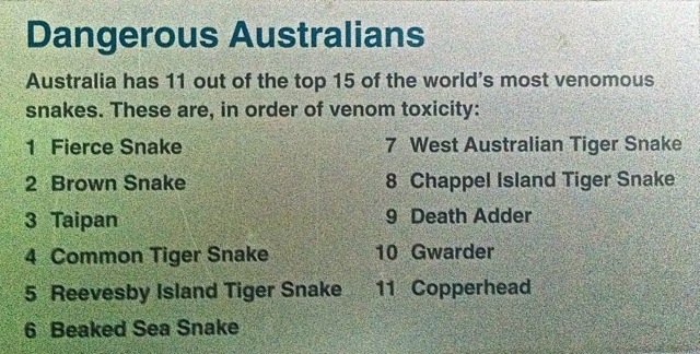 snake-list.jpg