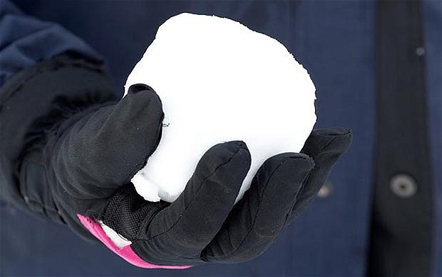 snowball_1787782b.jpg