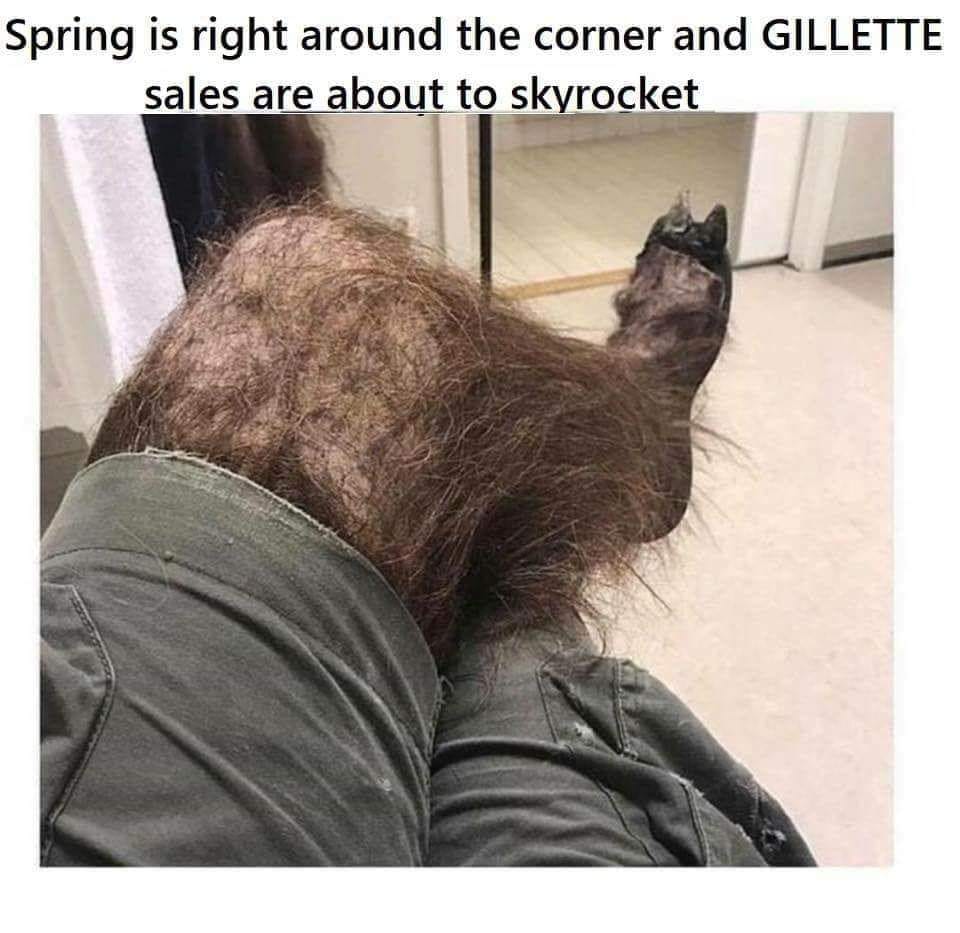 spring.jpg