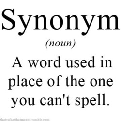 synonym.jpg