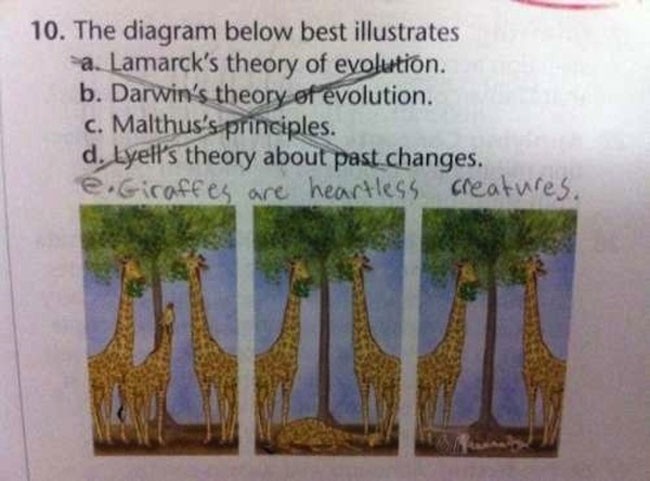 test-answers-that-are-totally-wrong-but-still-genius-12-934x.jpg