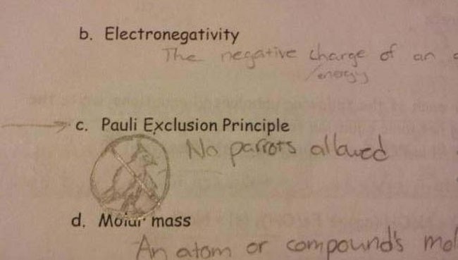 test-answers-that-are-totally-wrong-but-still-genius-6-934x.jpg