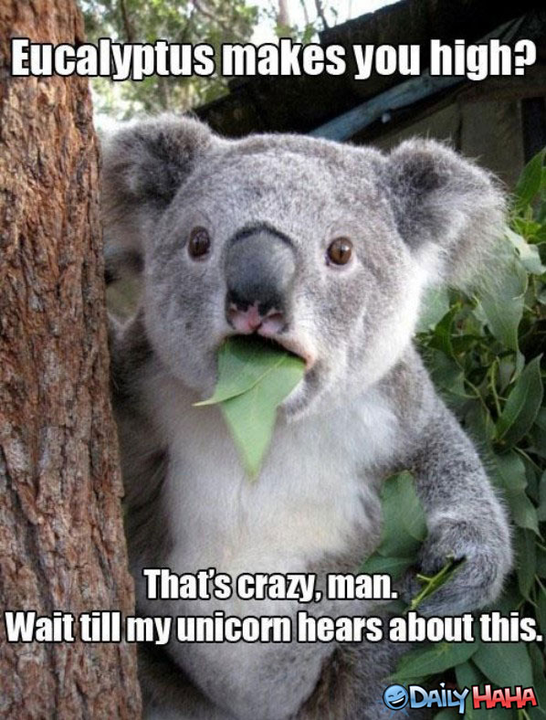 thats-crazy-man.jpg