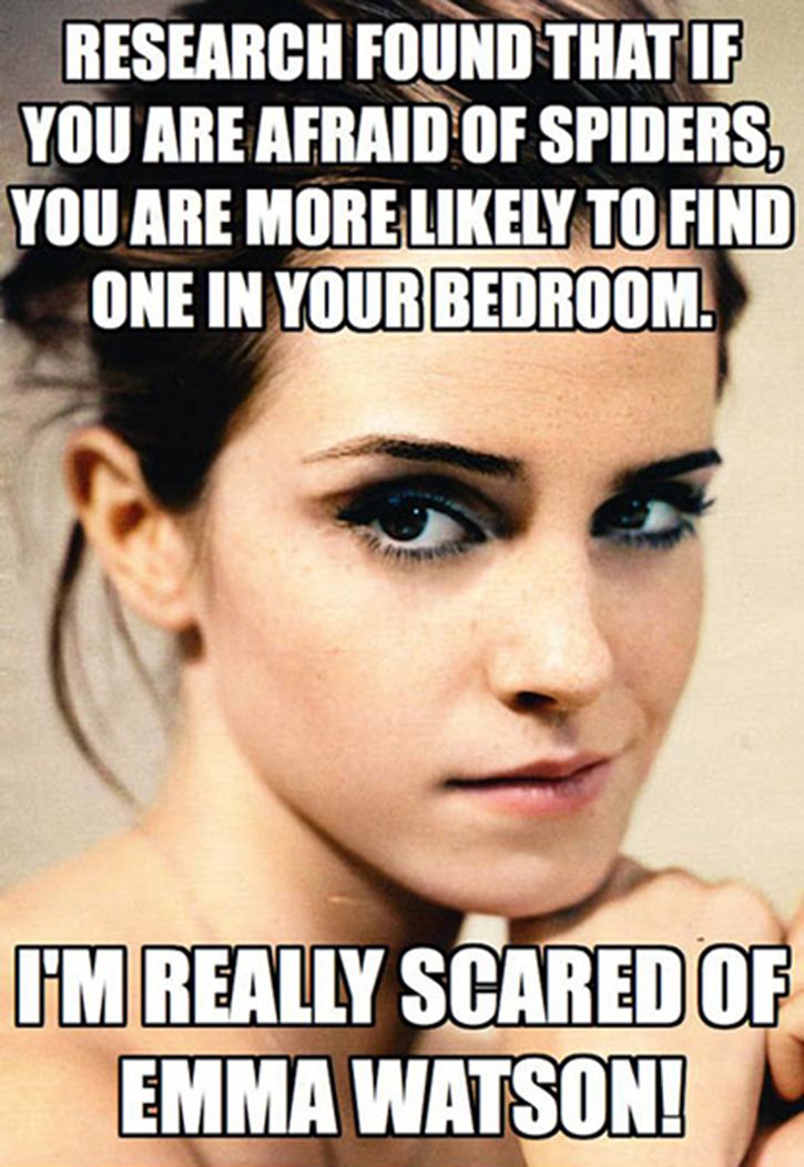 ThisIsWhyImAfraidOfEmmaWatsonWhatAreYouAfraidOf-3013.jpg